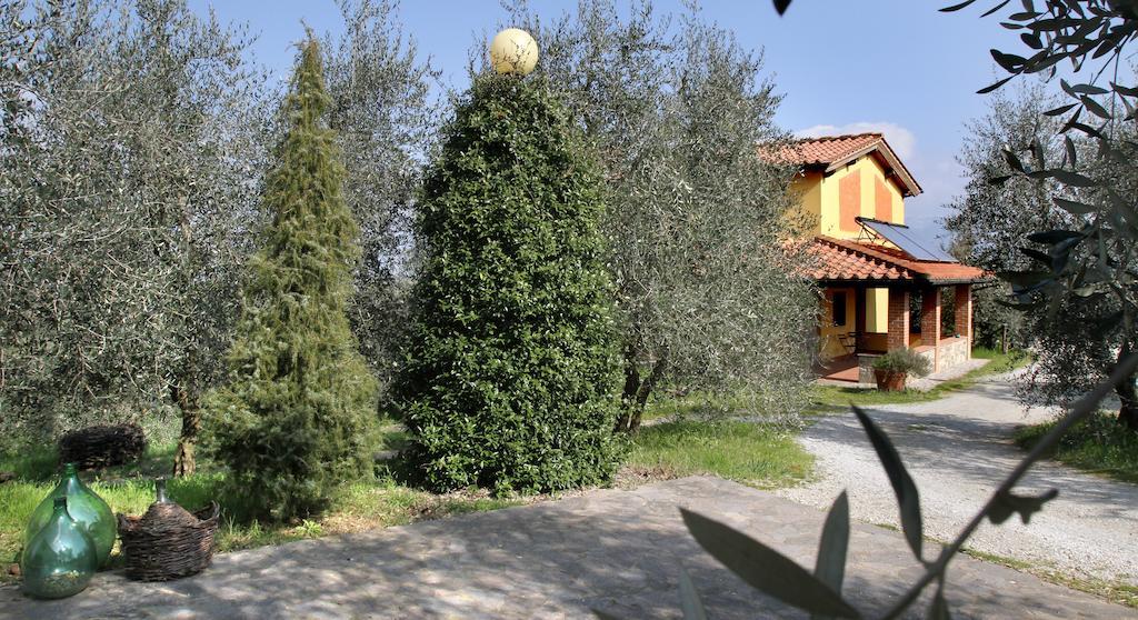 La Locanda Cuccuini Cavriglia Εξωτερικό φωτογραφία